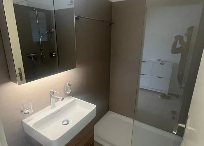 Casa Rena By Interhome Appartement Ascona